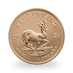 1 ounce Gold Krugerrand - Tube of 10 - 2024 - South African Mint