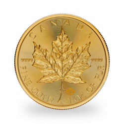 1 ounce Gold Maple Leaf - Tube of 10 - 2024 - Royal Canadian Mint